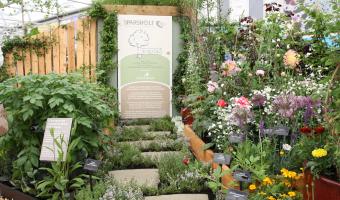 Huhtamaki wins at Chelsea Flower Show 