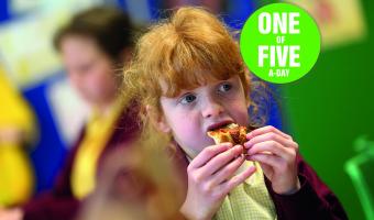 dr oetker professional pizza