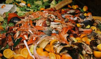 UK restaurants urged to follow French example on food waste