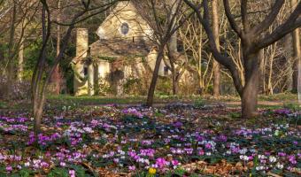 Hospitality Action returns to Highgrove gardens