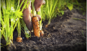 Vacherin launches sustainability corporate social responsibility report