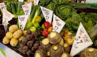 New University of Catering Rating 