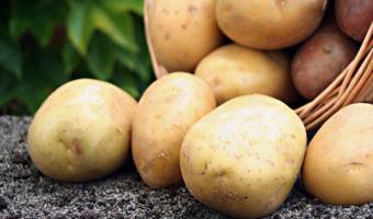 McCain hosts Cropwatch Live event for customers configuration options