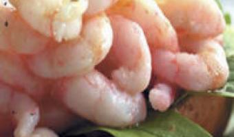 Premiumisation prawns Royal Greenland call chefs