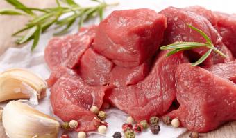 South Korea plans to ban dog meat industry  
