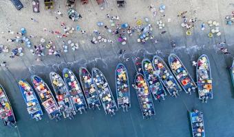 MSC says millions missing out on vital nutrients due to overfishing 
