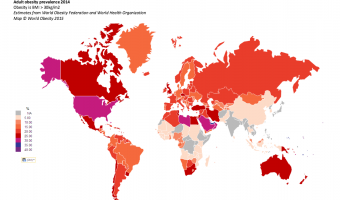 2.7 billion adults worldwide will be overweight by 2025 - World Obesity Federati