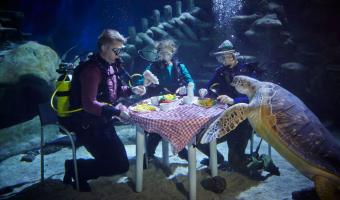 Brakes makes Sustainable Fish Cities pledge