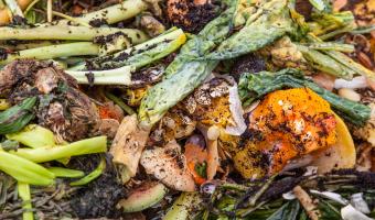 UK food waste policy conference