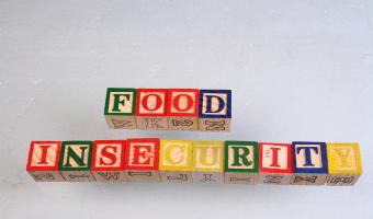 food insecurity families