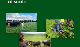 Nestlé Professional calls for collective action to scale regenerative agriculture