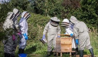 ESS launches latest beehive project at RAF Marham 