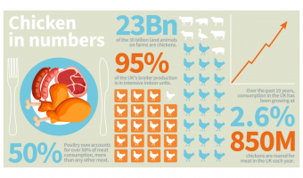 We Need To Talk About Chickens diagram 