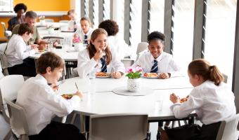 Lynx Purchasing targets £2bn education sector as operator costs bite 