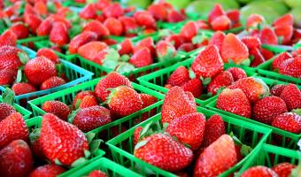 Strawberries 