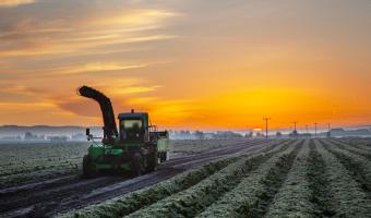 Fresh Direct says weather & global events continue to impact produce