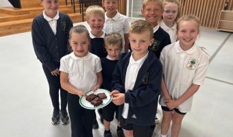 Soil Association Scotland partners with Moray Council on school pea pilot