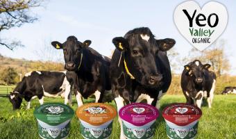 Yeo Valley Organic offers primary schools a chance to win a forest experience
