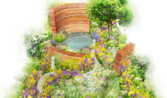 Chelsea Flower Show garden 