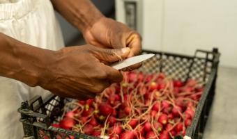HMP Littlehey offers caterers opportunity to take career in rewarding direction 