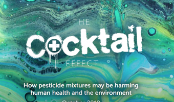 UK failing to protect human health from ‘pesticide cocktails’ 