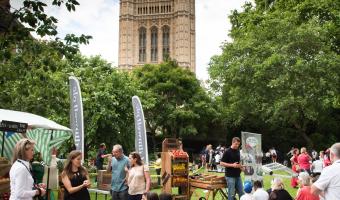 School Food Matters celebrates tenth birthday at Westminster Abbey College Garden