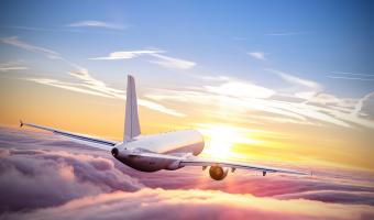 airline, food, drink 