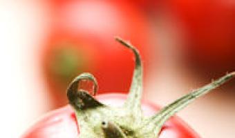 Foodservice Price Index reveals increase in prices