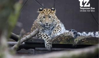 Levy Restaurants opens new look café and restaurant at Twycross Zoo