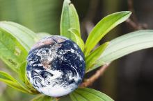 Is the Eat-Lancet report a blueprint for a better future? 