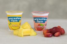 Dairy Company’s free-range programme yields ‘success’ 