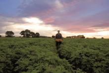 McCain Foods encourages customers to Meet the Farmers