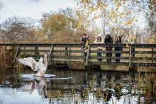 WWT London Wetland Centre names Elior UK as catering partner