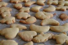 national biscuit day care homes