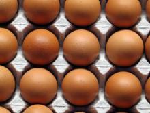 Compassion in World Farming calls on companies to commit to cage-free eggs 