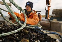 marine stewardship council sustainable seafood week september 10-17