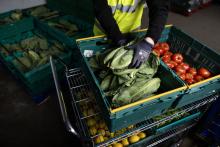 Government creates £13.6m grant to help redistribute surplus farm produce 