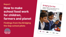 Sustain unveils ‘How to make school food work for children, farmers & planet’ report