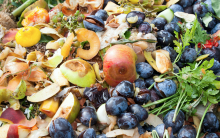westminster food nutrition forum waste packaging