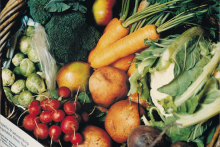Food Foundation unveils Peas Please prize winners