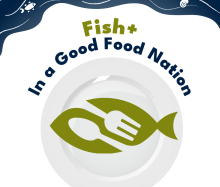Seafood Scotland partners with Nourish Scotland to search for 15 panelists  