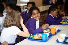 Sustainable food 