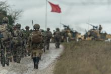 ESS dio training estate support contract landmarc