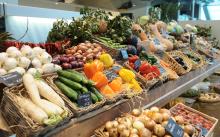 COP30 Diets Toolkit helps Governments introduce plant-forward policies 