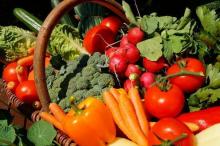 Sustain report calls for greater Government investment in organic food