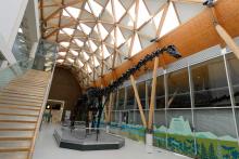 Events caterer Amadeus secures three-year contract with Midlands art gallery & museum 
