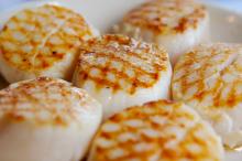 British seafood goes global with £1.5 million annual boost
