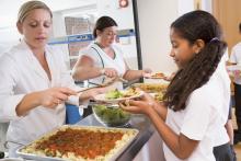 APPG launches Excellence in School Food Awards