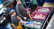 Elior reduces carbon footprint by 59%