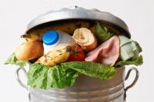WRAP says household food waste threatens UK’s carbon reduction ambitions 